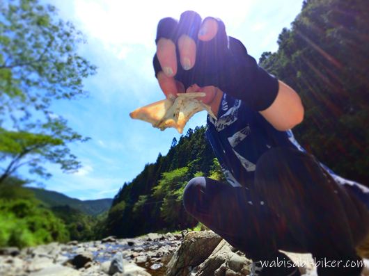 伊久美川で見つけた鳥の骨を手に持つセルフスナップ