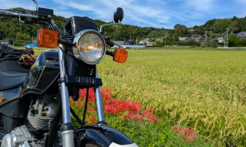稲穂と赤いヒガンバナが広がる田んぼの前に停めた黒いバイクSR125。青空と里山を背景にした秋の風景。