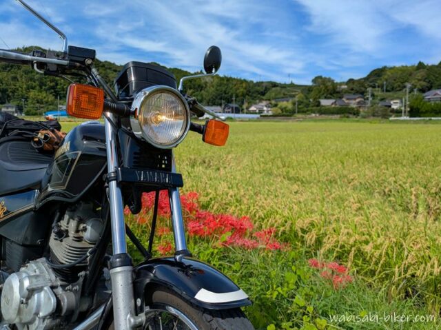 稲穂と赤いヒガンバナが広がる田んぼの前に停めた黒いバイクSR125。青空と里山を背景にした秋の風景。