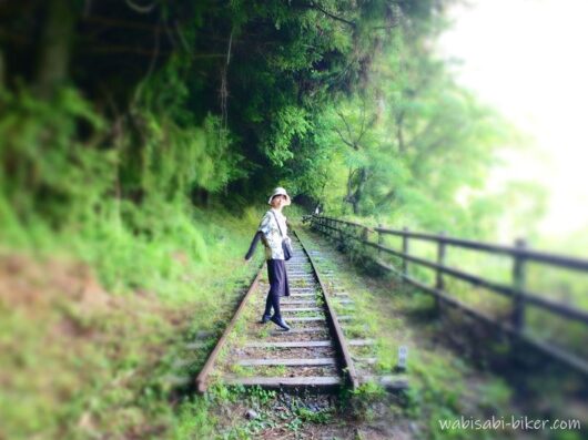 井川の廃線小路で、緑に囲まれた廃線跡の線路に立つ人物。
